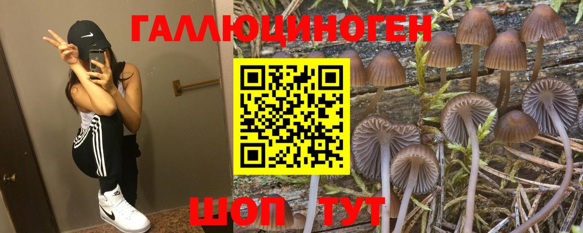 Торжок  Псилоцибиновые грибы Magic Shrooms  Вход с VPN  Галлюциногенные грибы ЛСД 